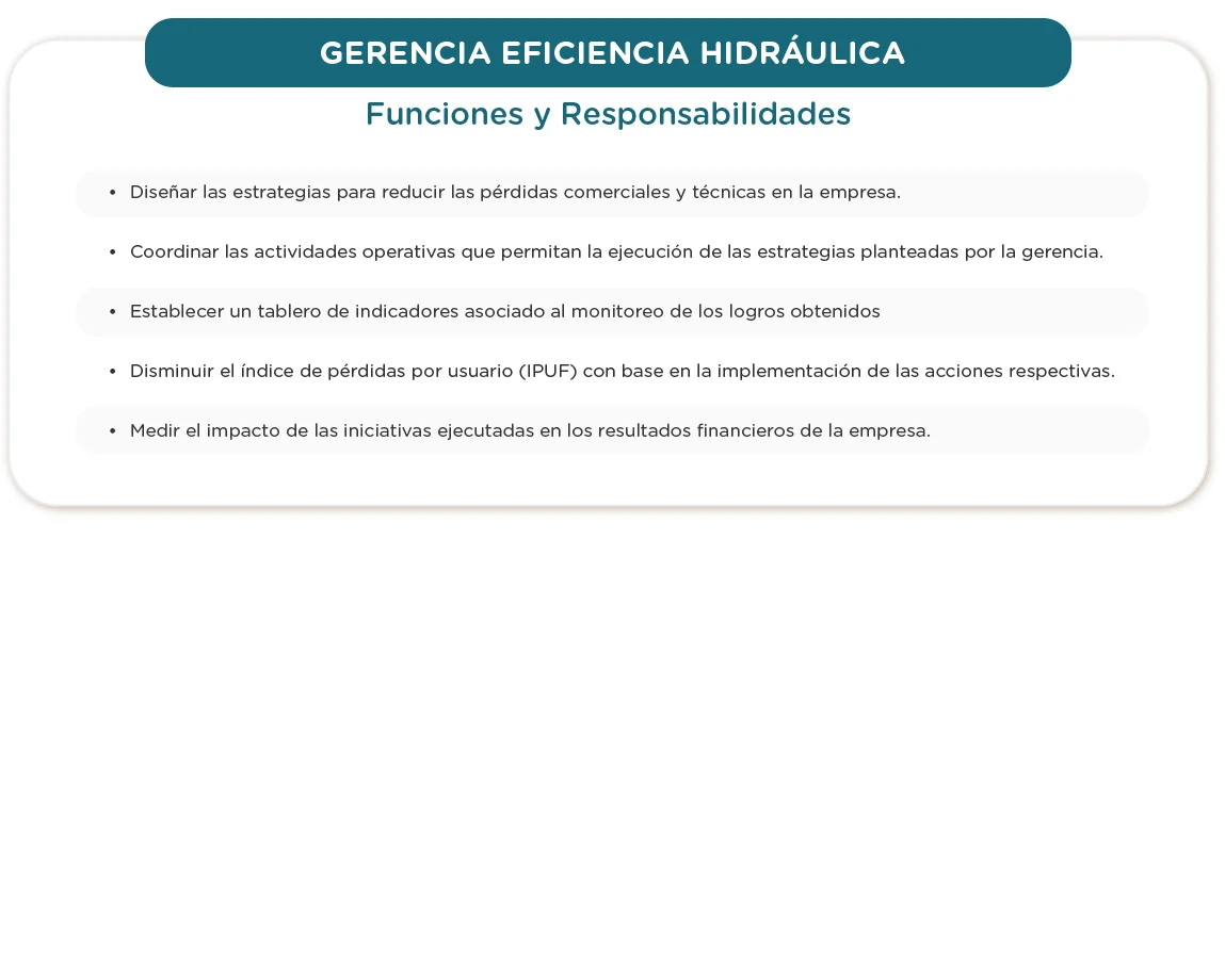 Gerencia Eficiencia Hidraulica - 1