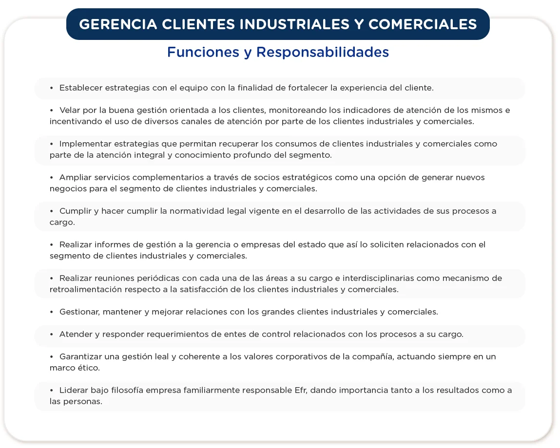 Gerencia clientes industriales - 1